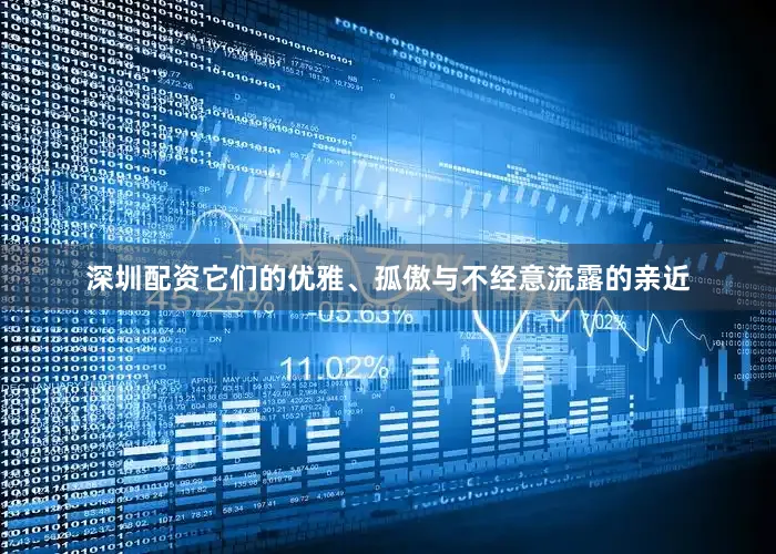 深圳配资它们的优雅、孤傲与不经意流露的亲近