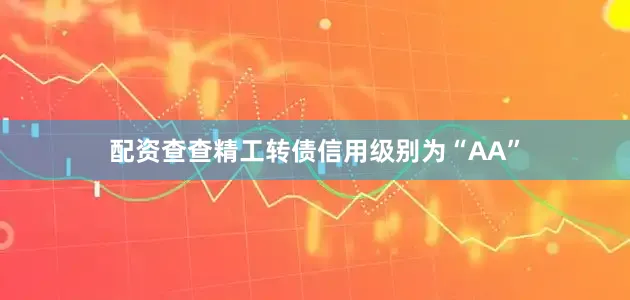 配资查查精工转债信用级别为“AA”